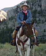 Gisela Pferd Gisela Pferd